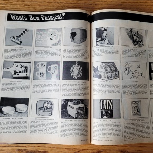 Vintage December 1973 Cat Fancy Photography, Hemingway Cats, - Picture 13 of 16